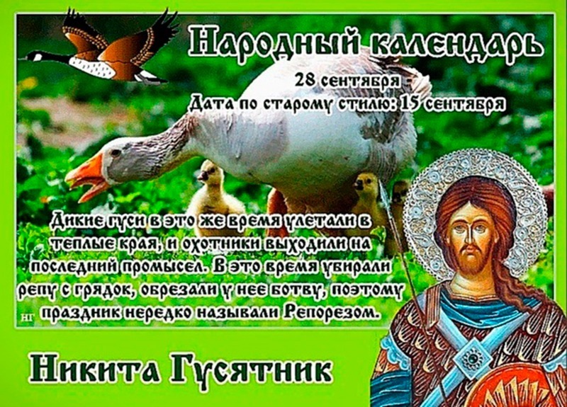 Никита Гусятник: чего ждать 10 июня от перемены погоды?