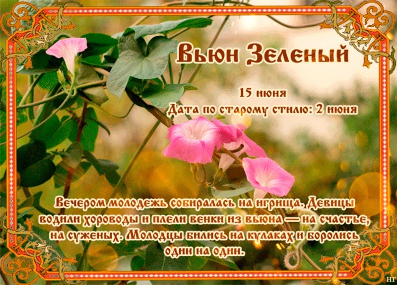 Вьюн Зеленый: почему 15 июня не стоит начинать важных дел?
