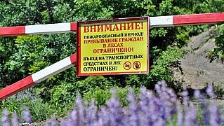 На Дону ограничения на поездки в лес продлили до 2 июля