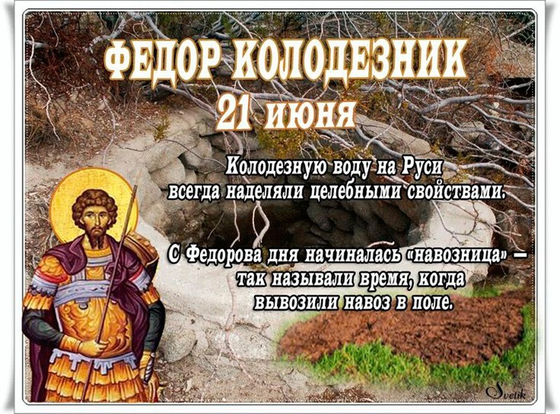 Федор Колодезник: что принесет пользу 21 июня?