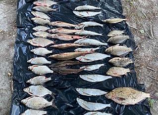 Браконьерский улов потянул на 130 тысяч рублей