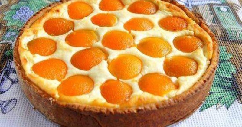 Творожный пирог с абрикосами и медом