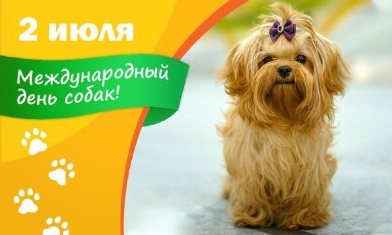 2 июля - Международный день собак