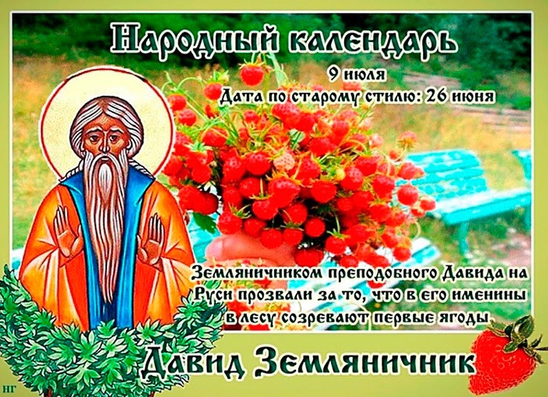 Давид Земляничник: в чем 9 июля может помочь земляника?