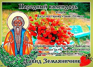 Давид Земляничник: в чем 9 июля может помочь земляника?