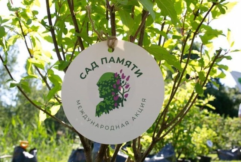 Ростовская область — в числе лидеров всероссийской акции «Сад памяти»