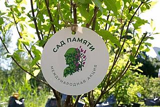 Ростовская область — в числе лидеров всероссийской акции «Сад памяти»