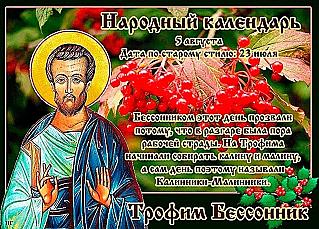 Трофим Бессонник: какие ягоды собирали в этот день?