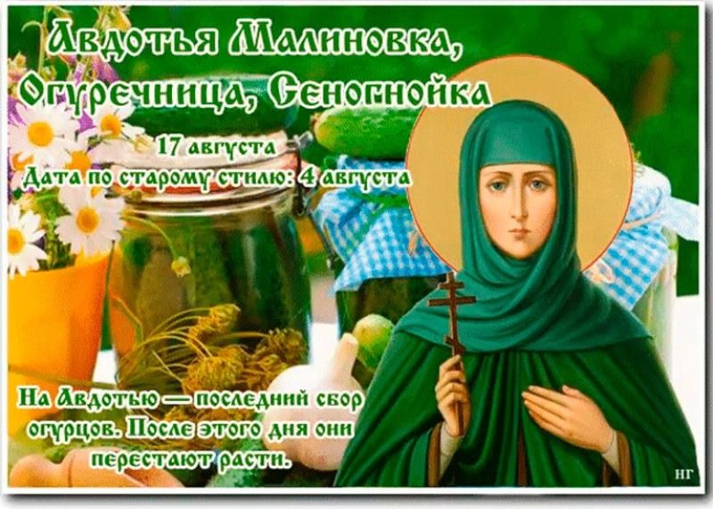 Авдотья Малиновка, Огуречница, Сеногнойка: что заготавливали в этот день?