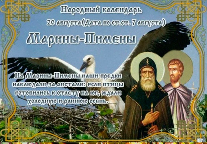 Марины – Пимены: о чем 20 августа могут рассказать аисты?