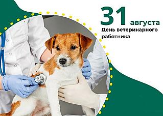 31 августа - День ветеринарного работника