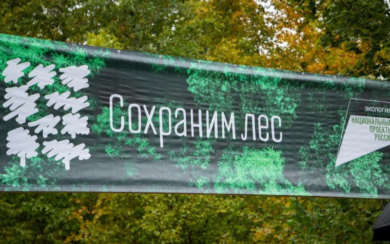 Стартовала Всероссийская акция «Сохраним лес»