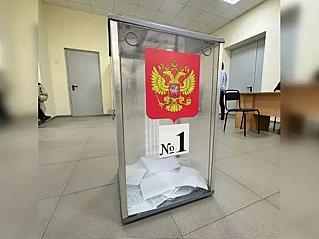 Выборы на Дону проходят без нарушений