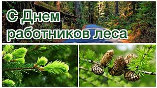 21 сентября - День работников леса