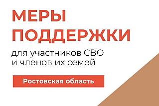 В Ростовской области начал работать виртуальный помощник для участников СВО