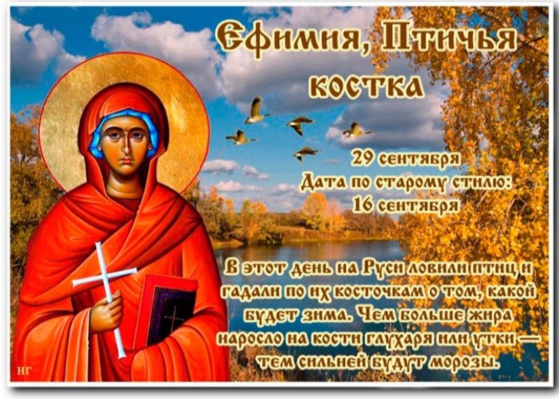 Ефимия, Птичья костка: какую зиму предскажут приметы 29 сентября?