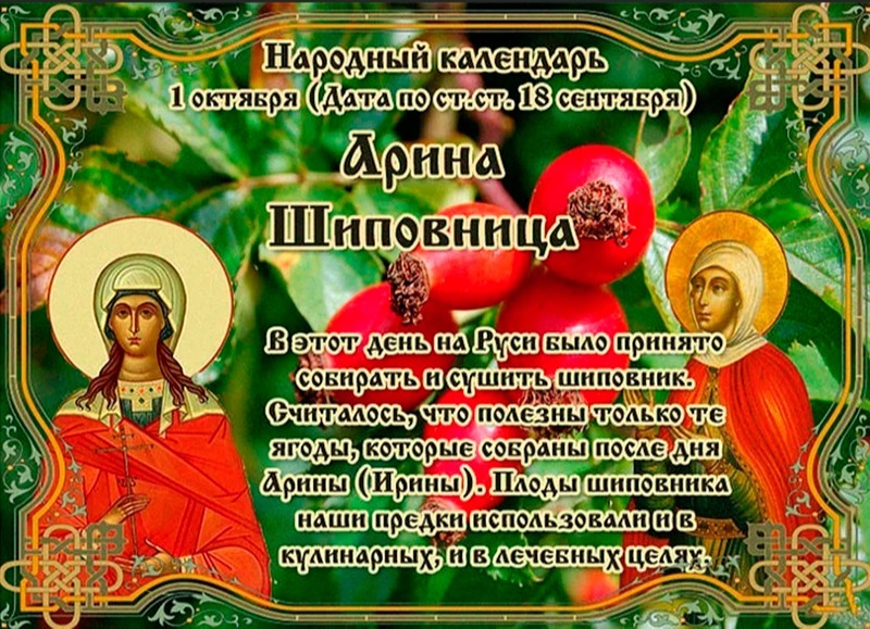 Арина Шиповница: что нельзя делать 1 октября?