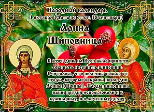 Арина Шиповница: что нельзя делать 1 октября?