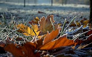 В Ростовской области возможны мокрый снег и заморозки