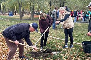 Областной субботник и День древонасаждений пройдут в Ростовской области 18 октября