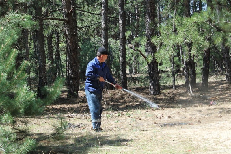 В лесах Ростовской области официально завершен пожароопасный сезон