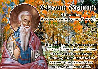Ефимий Осенний: почему 28 октября не стоит смотреть на звездное небо?