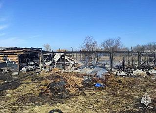 Доильный аппарат стал причиной крупного пожара в Советском районе