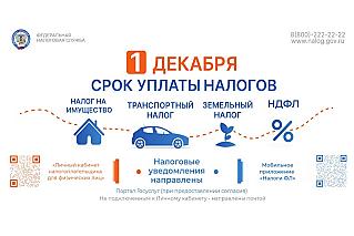 1 декабря истекает срок уплаты имущественных налогов