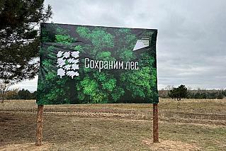 На Дону проходит Всероссийская акция «Сохраним лес»