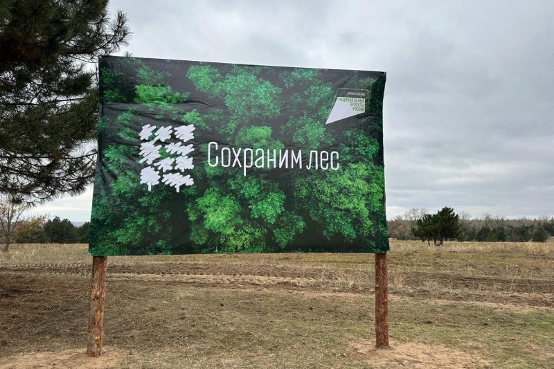 На Дону проходит Всероссийская акция «Сохраним лес»