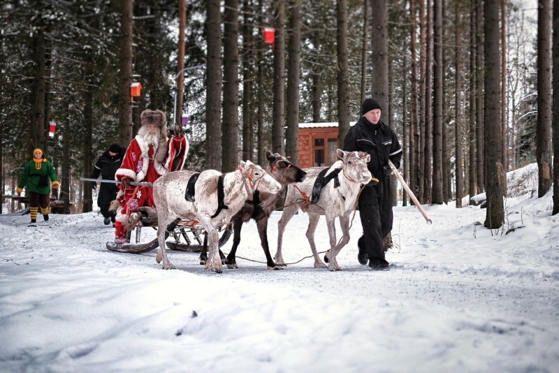 От Карелии до Дона: самые бюджетные направления для новогоднего отдыха