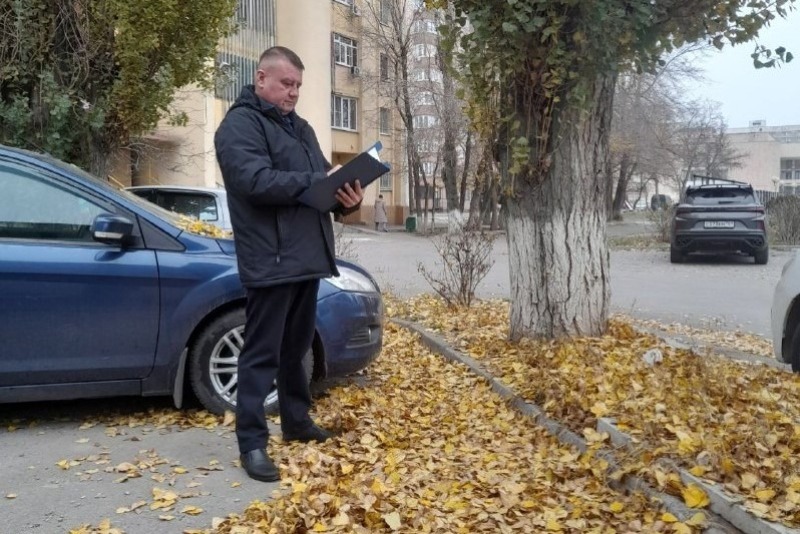 Штраф до 100 тысяч: в Ростовской области усилят контроль за уборкой листвы
