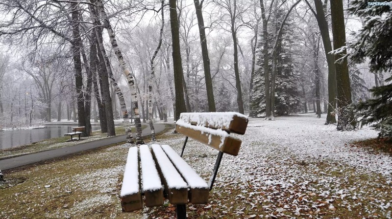 Когда на Дону пойдет первый снег