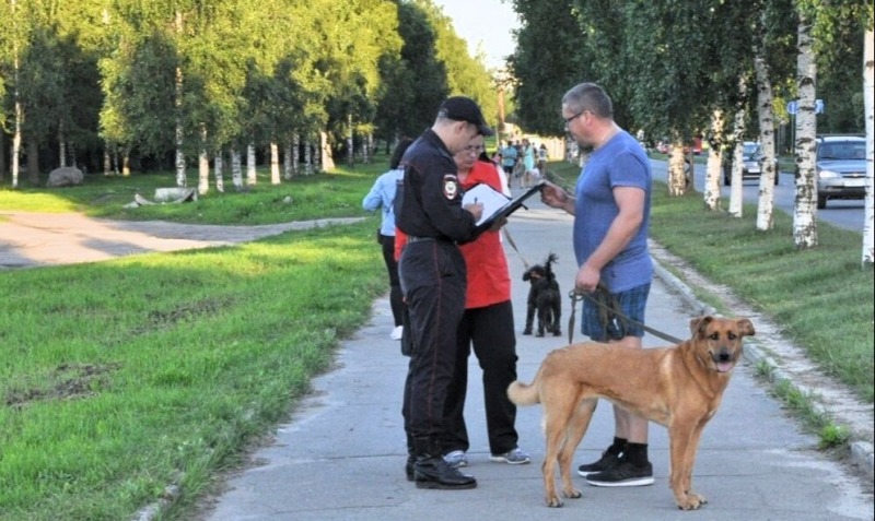 Полицейские смогут наказывать владельцев агрессивных собак