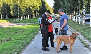 Полицейские смогут наказывать владельцев агрессивных собак