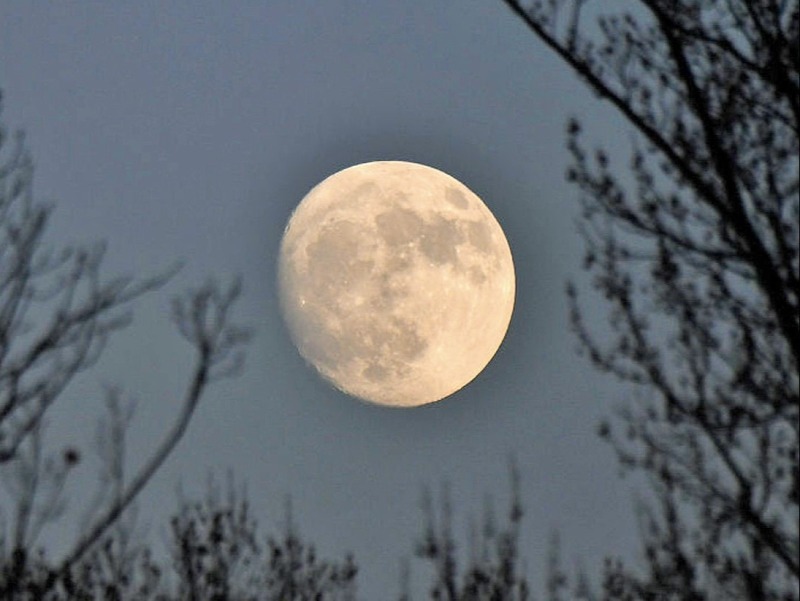 Суперлуние и три звездопада: где их можно увидеть в декабре