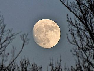 Суперлуние и три звездопада: где их можно увидеть в декабре