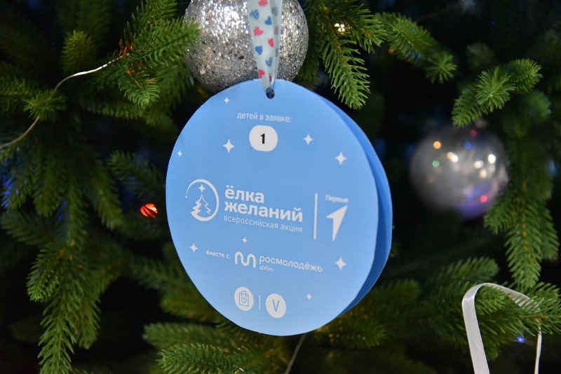 Жители Дона могут участвовать в акции «Ёлка желаний» через мессенджер МАХ
