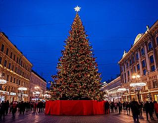 Срублена главная ёлка страны: 100-летняя красавица отправилась украшать Кремль