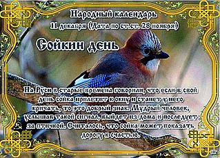 Сойкин день: как нужно провести 11 декабря, чтобы все в жизни ладилось?