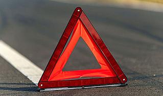 В Ростовской области дерево упало на движущийся автомобиль