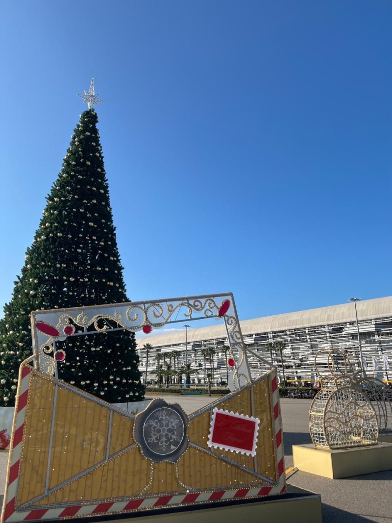 Ростовская область встретит Новый год без салютов и уличных гуляний