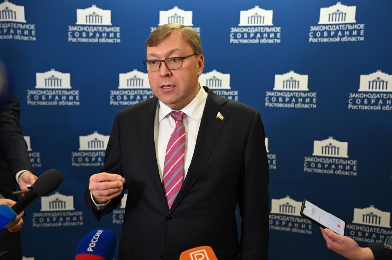 Соцподдержка многодетных на Дону: как депутаты «Единой России» развивают систему льгот