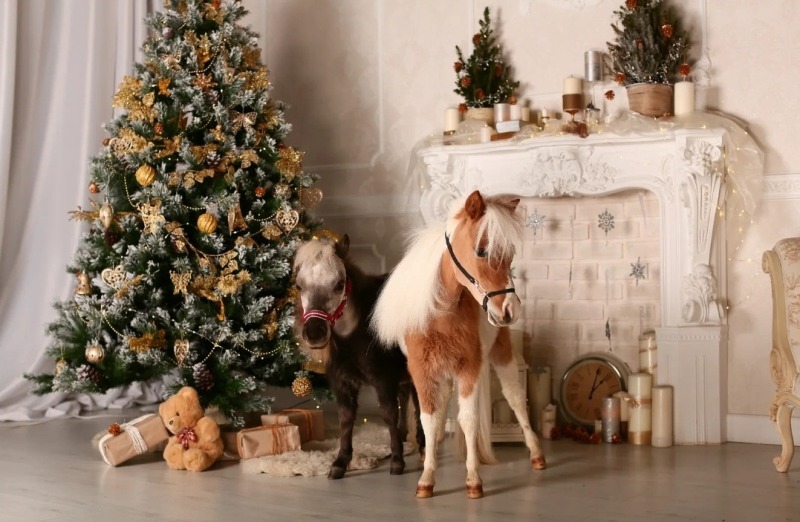 Как встречать год Лошади?