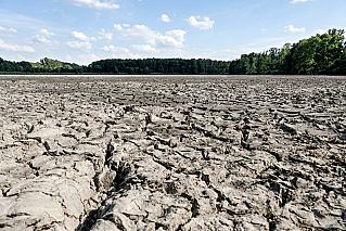 Климатологи бьют тревогу: из-за ускоренного испарения воды Европу ждут засуха и неурожаи