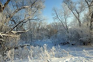 Когда ослабеют морозы?