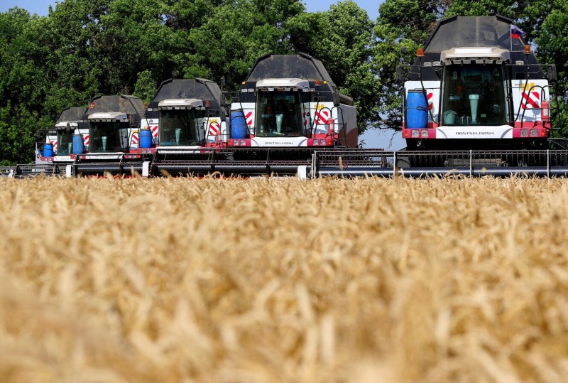 Новый «Агрочрезвычайный» и льготные кредиты: как поддерживают агробизнес на Дону