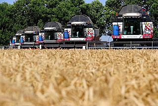 Новый «Агрочрезвычайный» и льготные кредиты: как поддерживают агробизнес на Дону