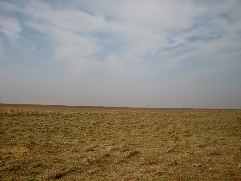 В России запустили новую систему мониторинга почв