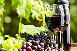 Цимлянские вина вновь подтвердили статус лучших в России